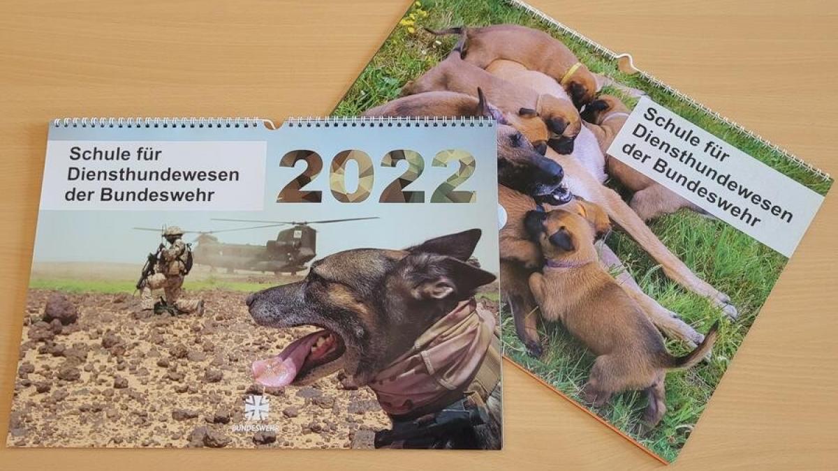 Die Helden auf vier Pfoten präsentieren sich auch 2022 wieder im Diensthundekalender der Bundeswehr. Er ist im Bürgerbüro erhältlich. von HptFw Storsberg, SDstHundeBw