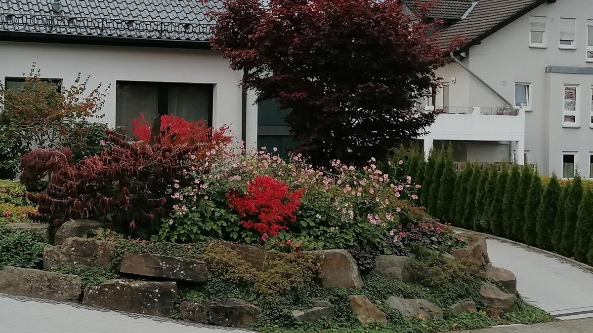 Ein Beispiel für einen gelungenen und umwelt- sowie tierfreundlichen Garten. von Stadt Olpe