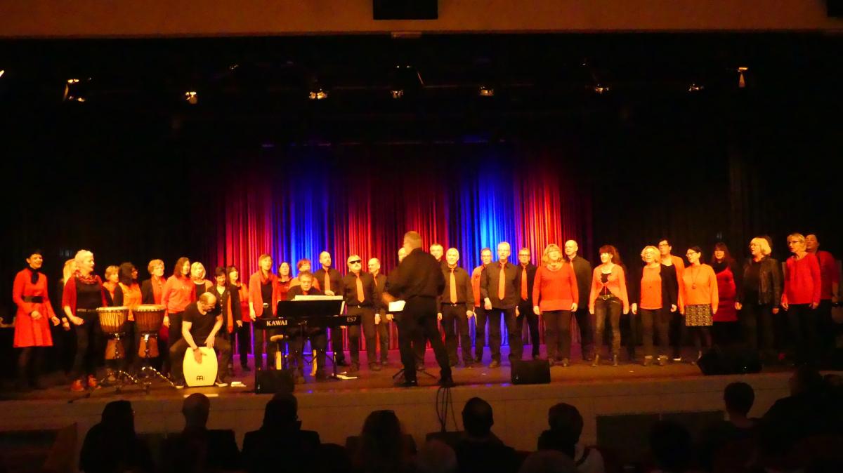 Der Chor "Just for fun. von privat