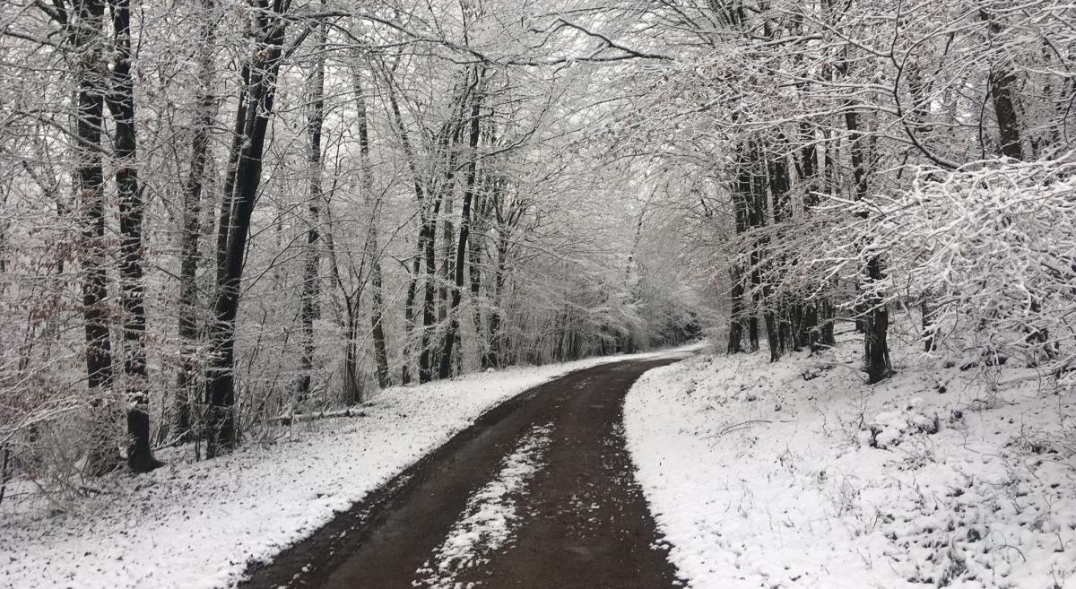 Beim ersten Weihnachtsfest im Sauerland erlebte Julia Jänisch sogar Schnee am ersten Weihnachtstag. von Julia Jänisch