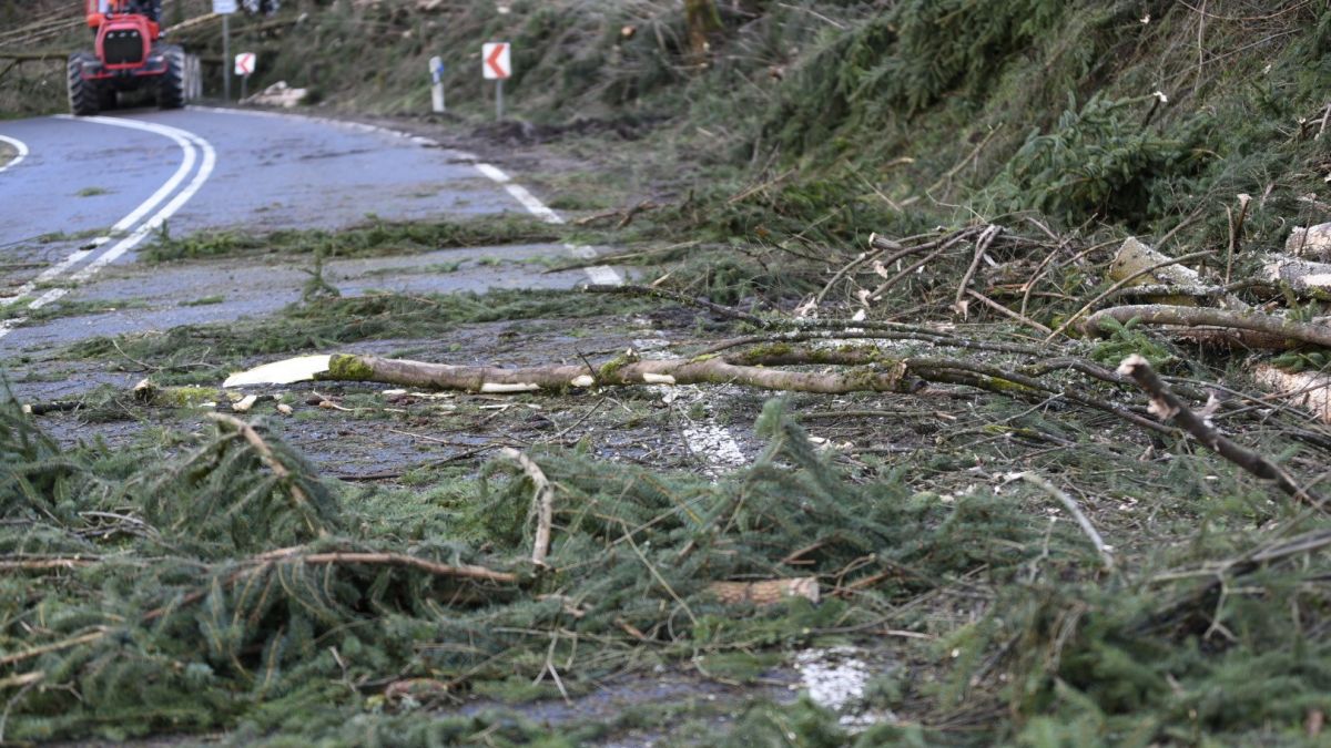 Entwurzelte Bäume, herumliegende Äste, gesperrte Straßen: Sturm Zeynep hat auch im Kreis Olpe gewütet. von Nils Dinkel