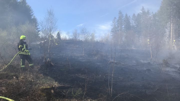 Am 23. April werden rund 500 Einsatzkräfte an einer großen Waldbrandübung teilnehmen.