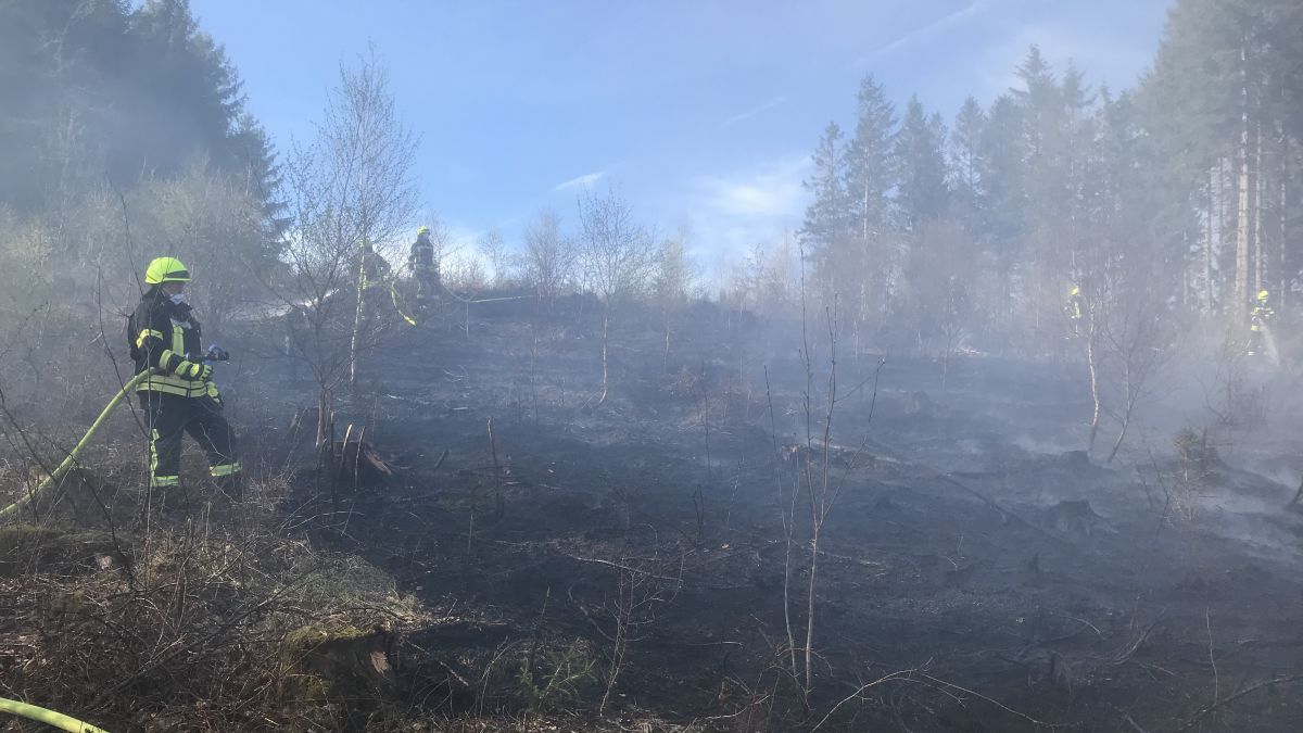 Am 23. April werden rund 500 Einsatzkräfte an einer großen Waldbrandübung teilnehmen. von Feuerwehr
