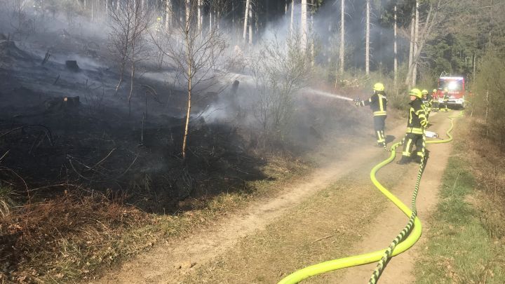 Symbolfoto: Am Samstag trainieren rund 500 Einsatzkräfte für einen großen Waldbrand.