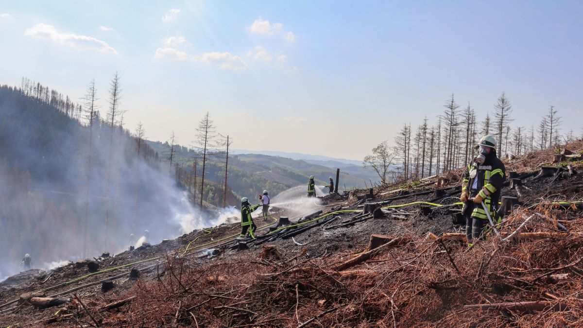 Waldbrand bei Maumke: Feuerwehr Lennestadt dreieinhalb Stunden im Einsatz