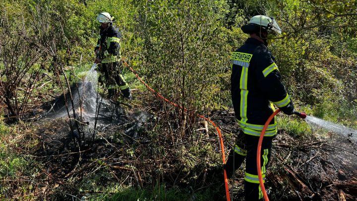 Die Feuerwehr ist am Montagmorgen, 9. Mai, zu einem Waldbrand in Schönau ausgerückt.