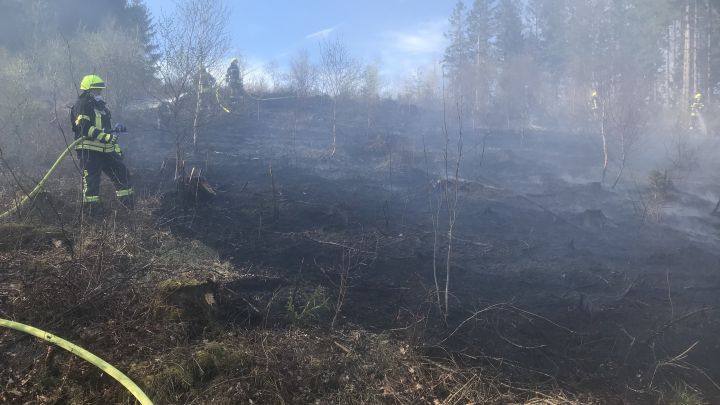 Die Feuerwehr Olpe warnt vor einer zunehmenden Waldbrandgefahr.