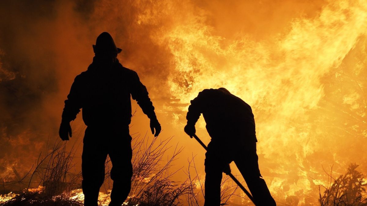 Das Regionalforstamt warnt vor einer erhöhten Waldbrandgefahr am Wochenende. von pixabay