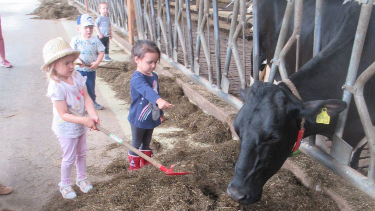 Kühe und viele andere Tiere konnten die Kinder bestaunen. von privat