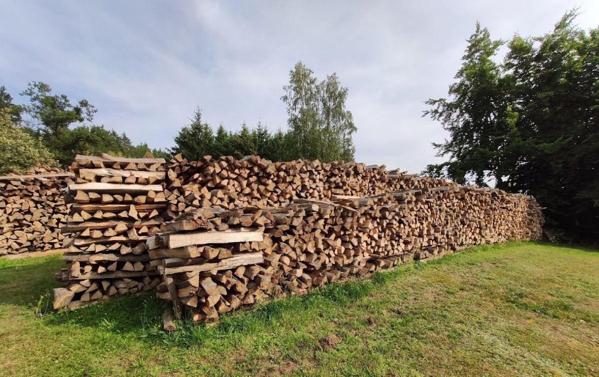 Unweit des Meilers stapelt sich das Buchenholz aus dem Berlinghäuser Wald. von Adam Fox