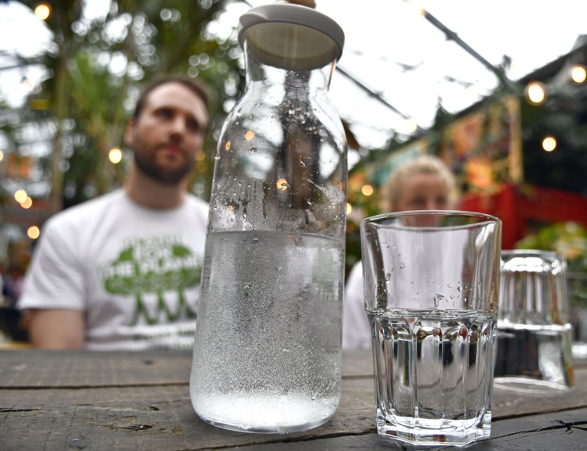 Jedes Glas Wasser hilft in Form eines Baumes. von privat