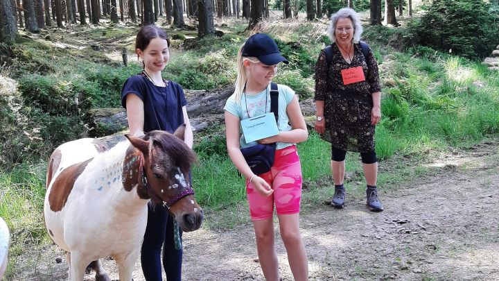 Mit Ponys gehen die Kinder auf die Suche nach der Hexe „Bonbon“.