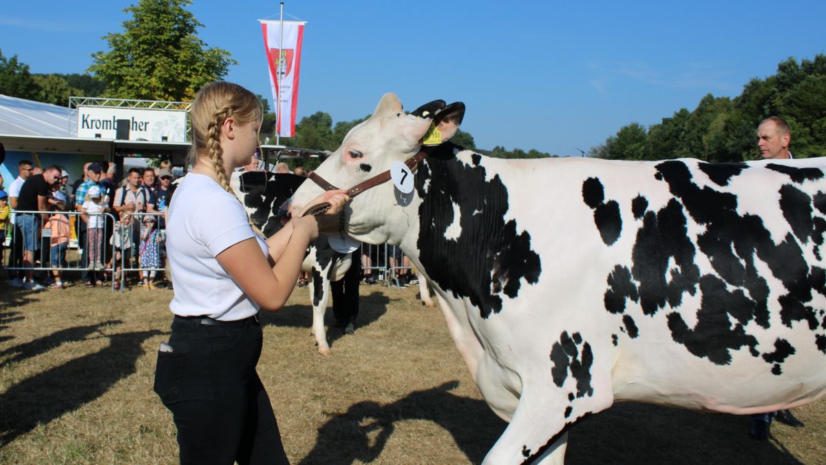 Die Tierschau lockte wieder zahlreiche Besucher auf die Wendener Kirmes. von Lorena Klein