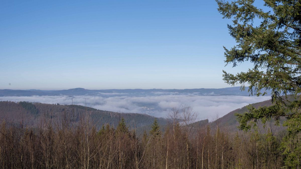 Symbolfoto. von Nils Dinkel