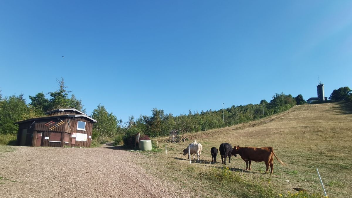 An der Skihütte, mit Blick auf die Hohe Bracht und den Skihang, findet das Sommerfest des Skiclubs statt. von privat