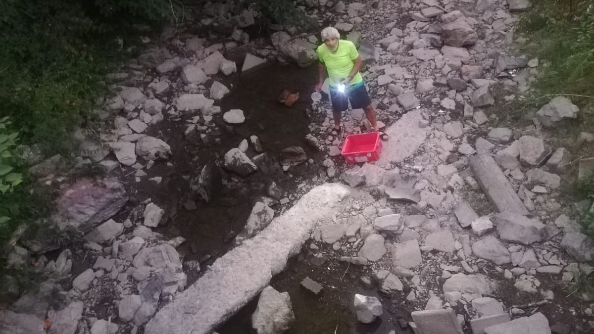 Abends war noch etwas Wasser vorhanden. Am nächsten Morgen war der Bereich ausgetrocknet und die Fische waren verendet. von privat