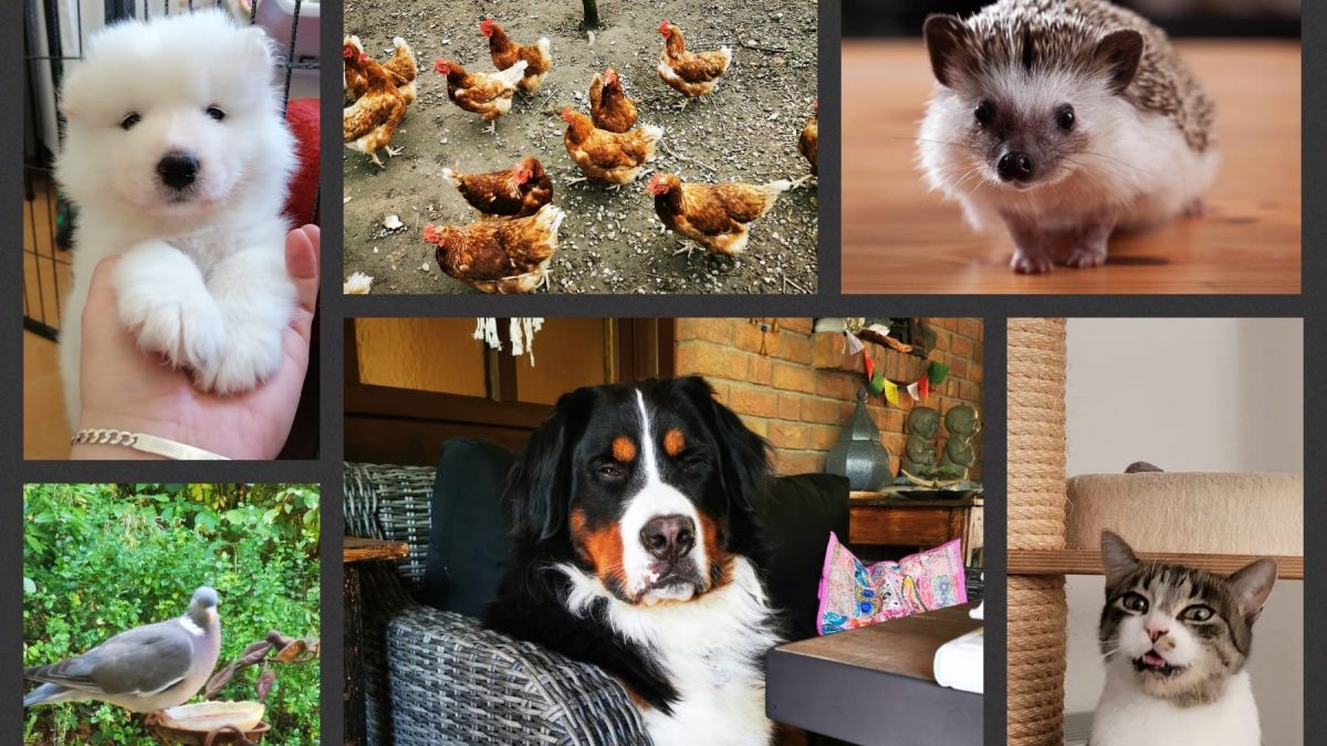 Symbolfoto zum Tag der Schöpfung. von privat