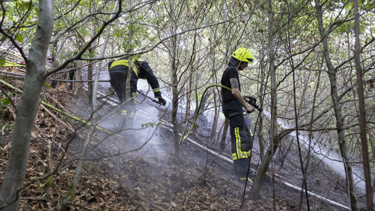 Die Olper Feuerwehr rückte am Freitagabend zu einem Waldbrand in Lütringhausen aus. von Kai Osthoff