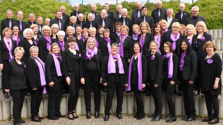 Der Gemischte Chor Vocalitas Thieringhausen.