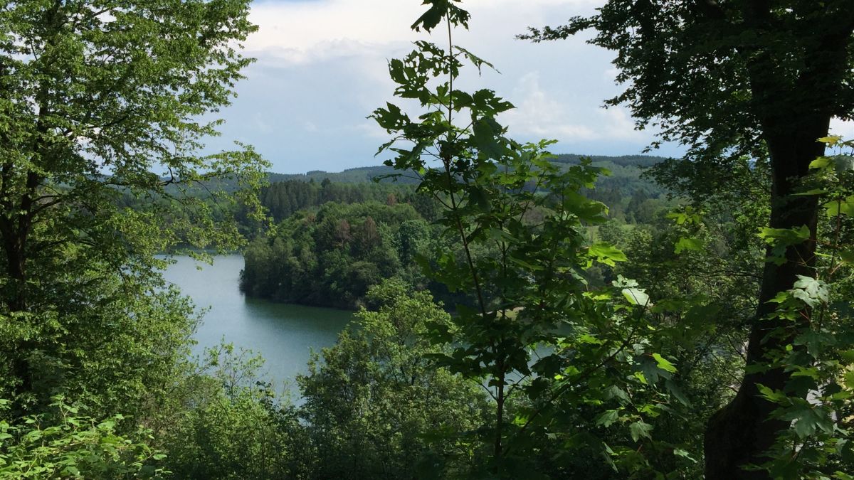 Ein Spaziergang in der Natur kann wahre Wunder bewirken. von privat