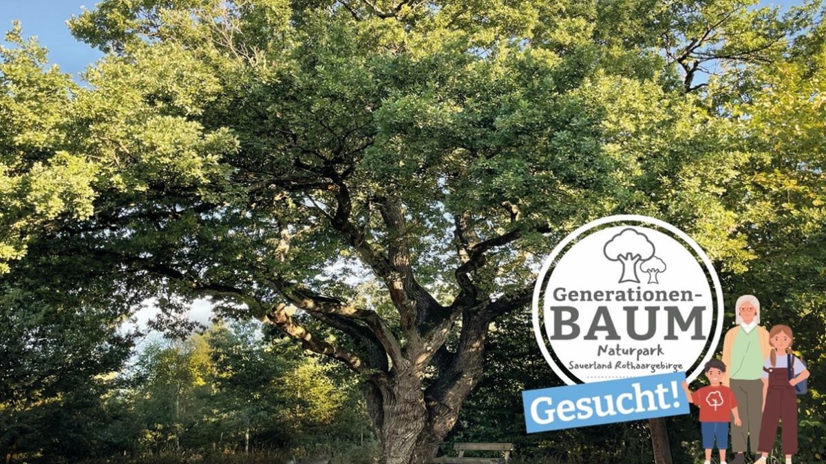 „Schafft mit uns den Baum der Zukunft“, ruft der Naturpark Sauerland Rothaargebirge auf. von Naturpark Sauerland Rothaargebirge