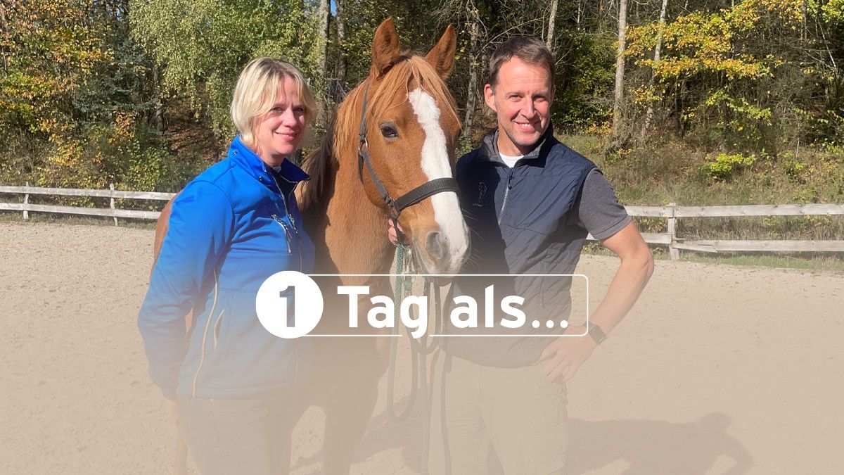 LokalPlus-Redakteurin Claudia Wichtmann durfte einen Vormittag Pferdetierarzt Dr. Peter Heer begleiten. von privat