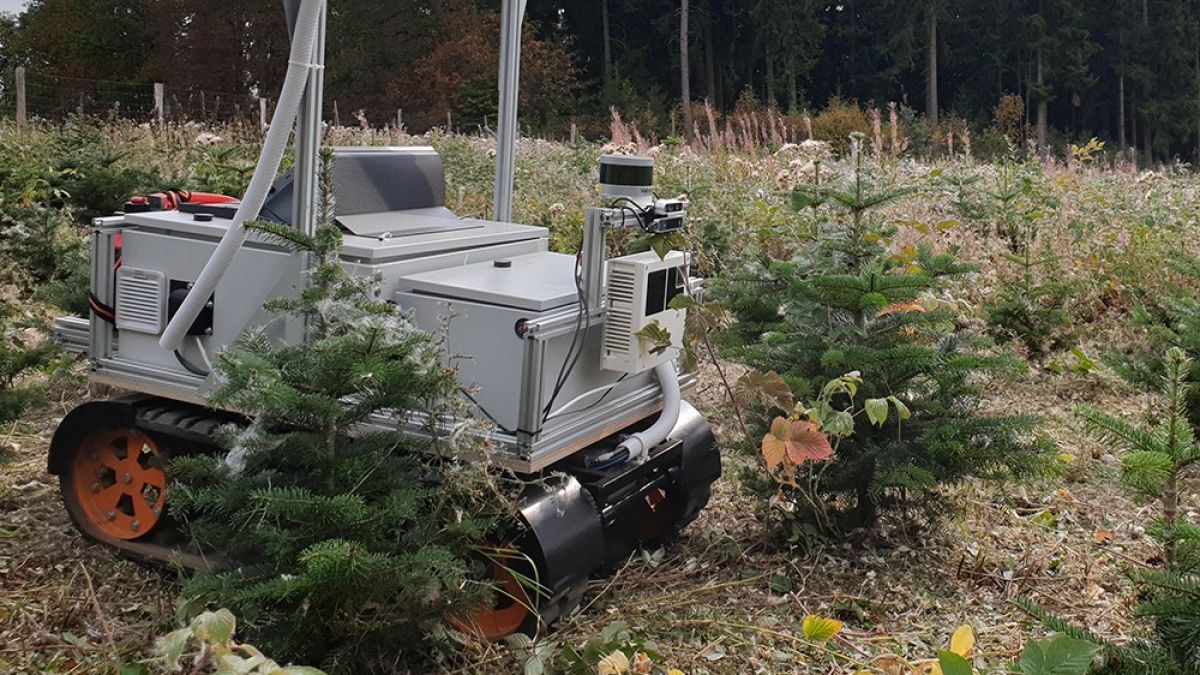 Für mehr Nachhaltigkeit bei der Weihnachtsbaum-Aufzucht in Südwestfalen sorgt ein Roboter. von Universität Siegen