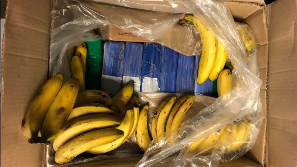 In diesem Bananenkarton lagen die Plastikbeutel mit dem Kokain. von Polizei