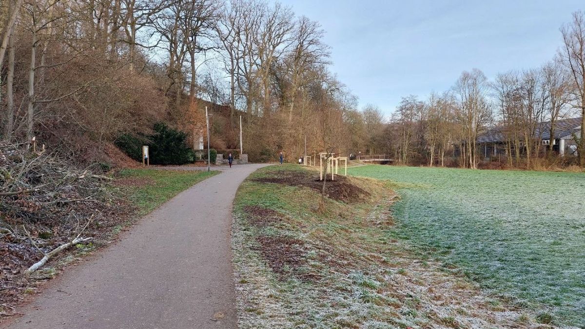 Hier in Grevenbrück wird ein Mehrgenerationenpark geplant. von privat