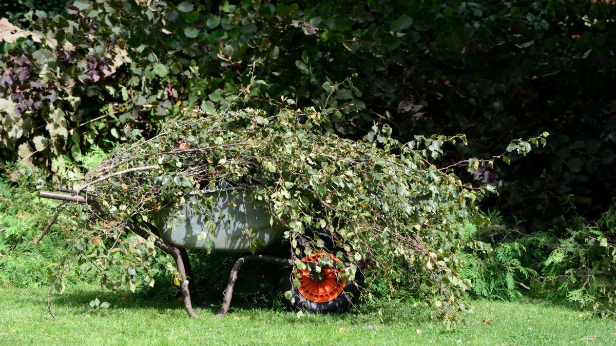 Die Gemeinde Finnentrop bietet wieder den Häckseldienst an. von © Carola Schubbel / Fotolia
