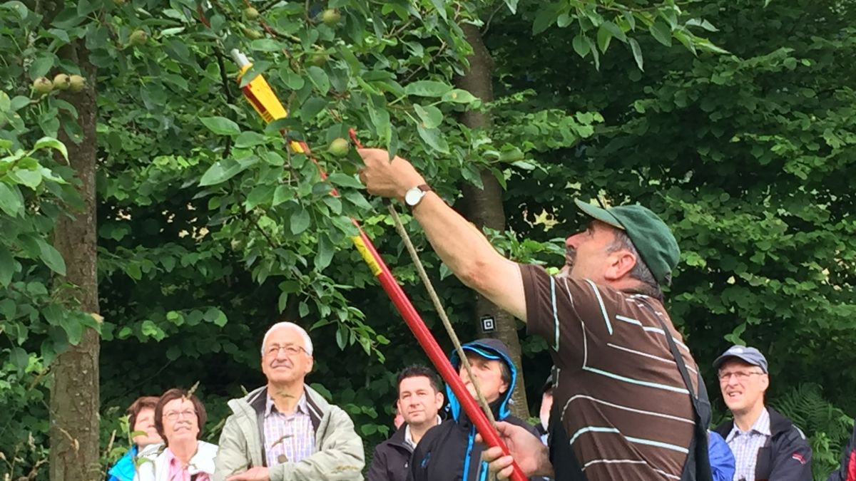 Obstbaumschnitt von privat