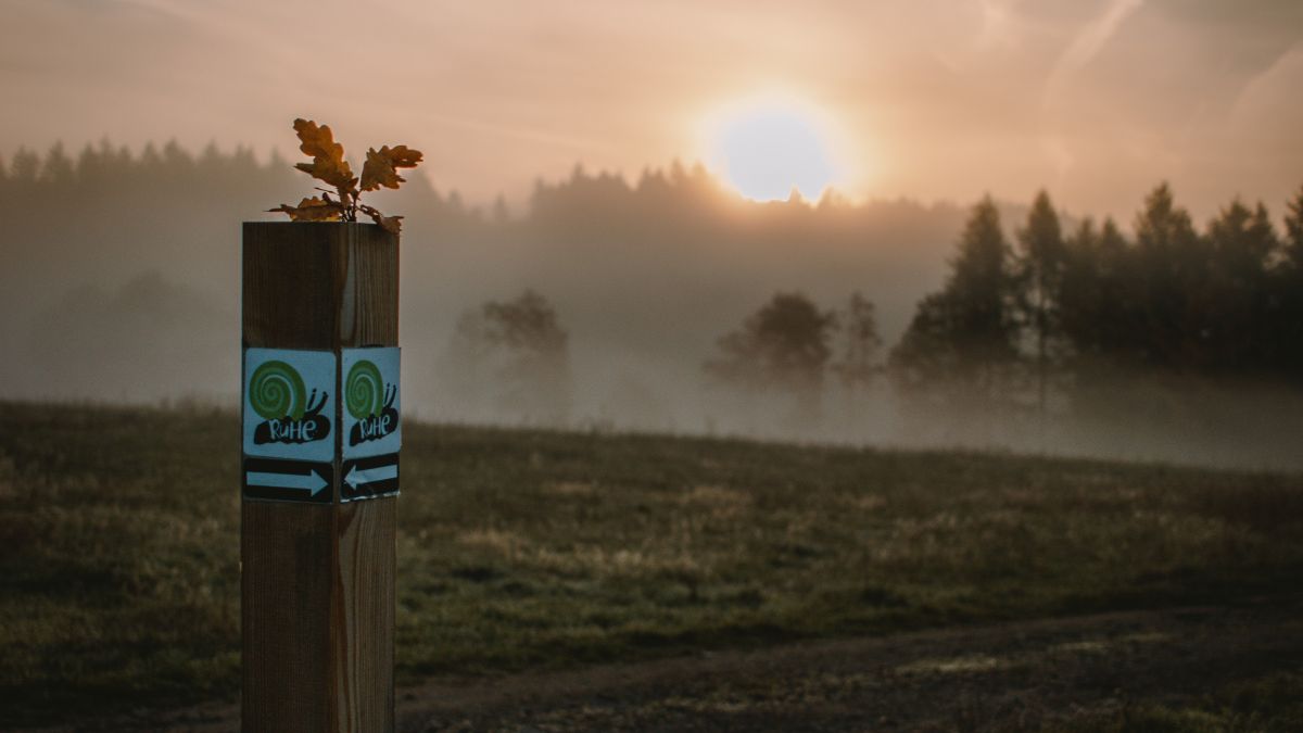 Auf dem Gewinner-Foto von Meike Schmidt durchbricht die Sonne die Nebeldecke und taucht den RuHe-Pfad in ein besonderes Licht. von SGV Repetal / Dorfverein Helden