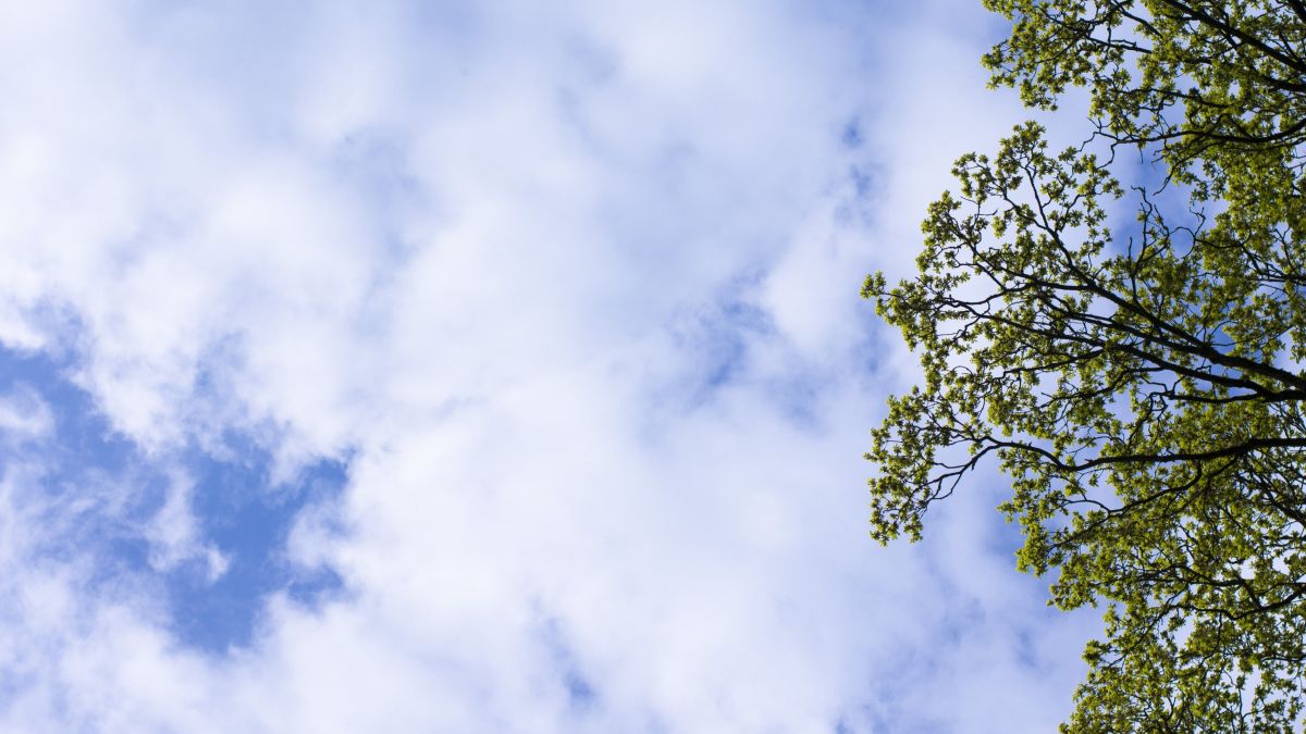 Symbolfoto. von Nils Dinkel