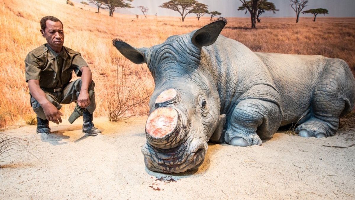 Der Galileo-Park eröffnet seine Ausstellungs-Saison mit dem Thema Artensterben. von Galileo-Park