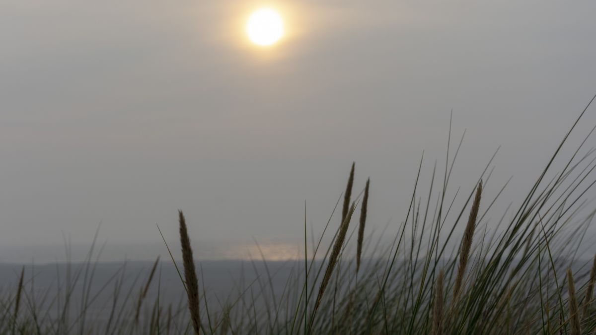 Symbolfoto. von Nils Dinkel