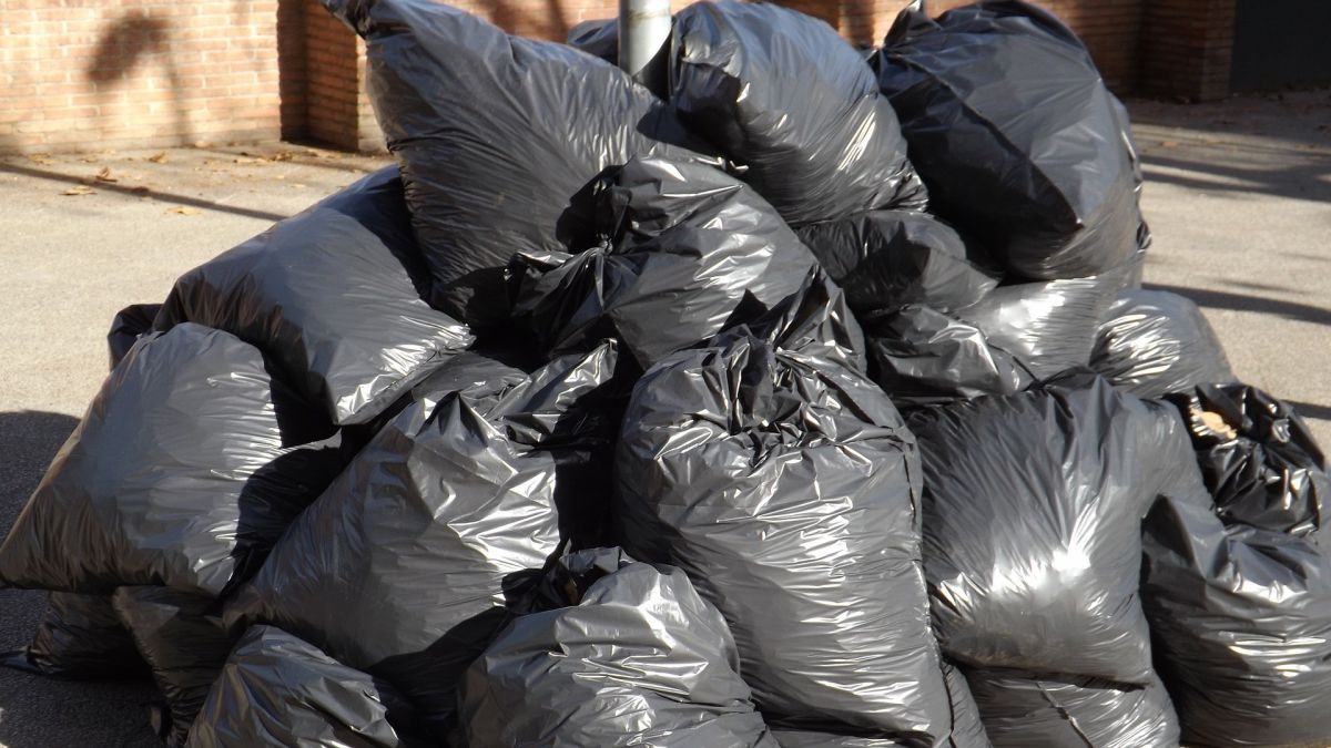 Müllsäcke, Müllgreifer und Handschuhe sollten nach Möglichkeit mitgebracht werden. von Pixabay.com