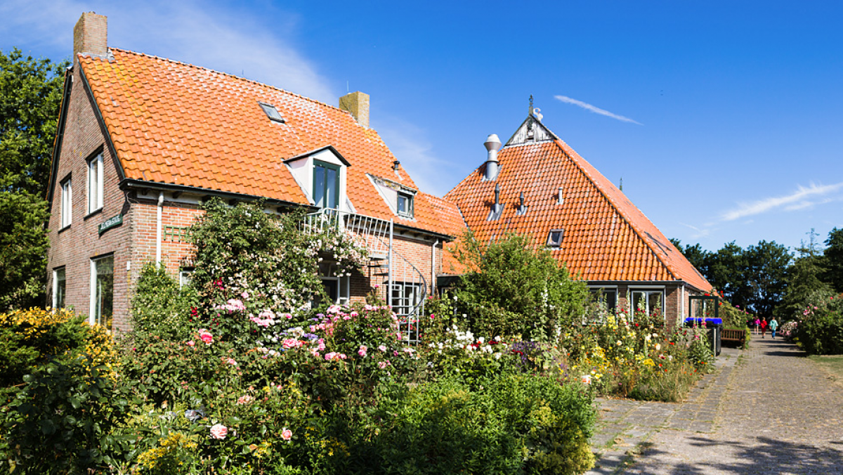 In den Sommerferien fährt die K.o.T. wieder nach Ameland. von privat