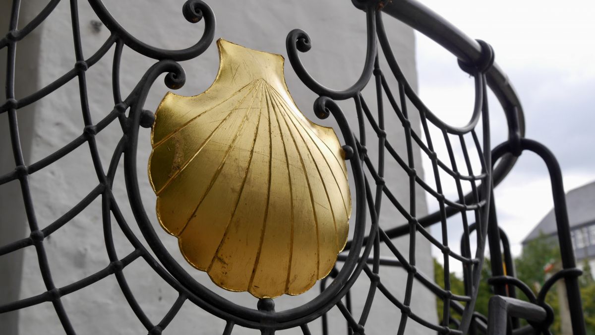 Die Jabobsmuschel in Elspe von privat