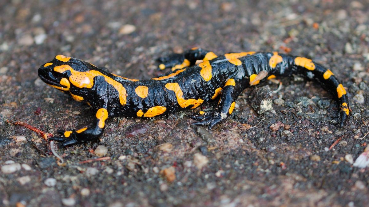 Symbolfoto. von pixabay.com