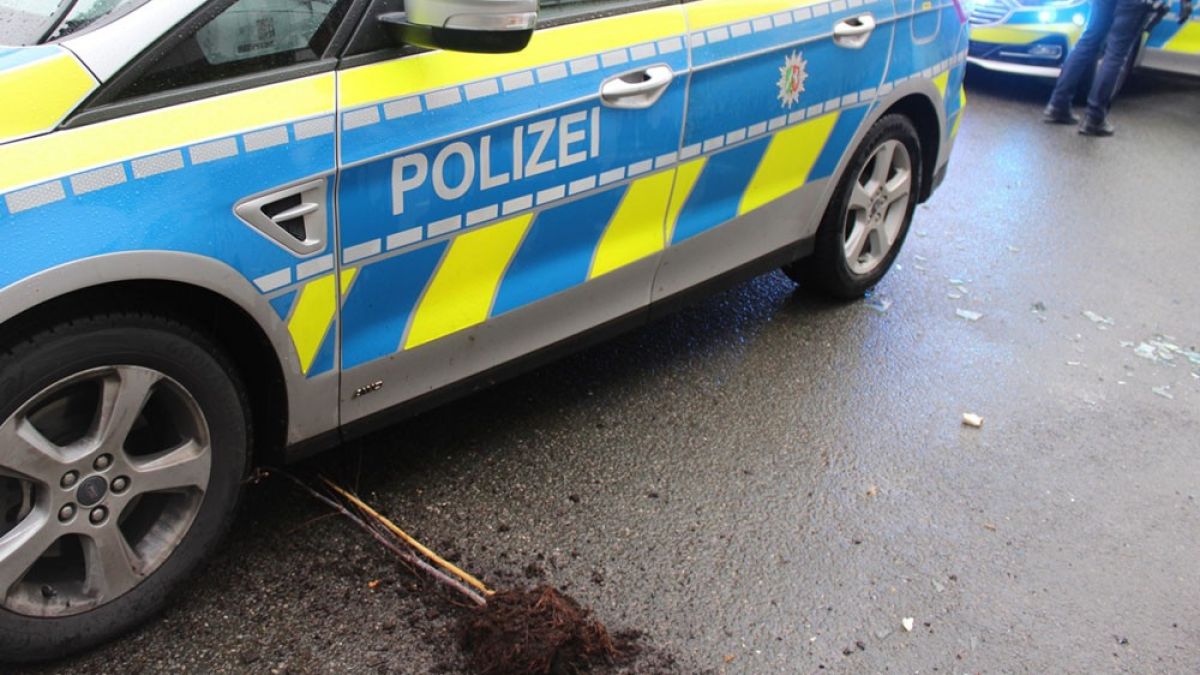 Der Streifenwagen wurde mit einer Schnapsflasche und einer Topfpflanze beworfen. von Polizei MK