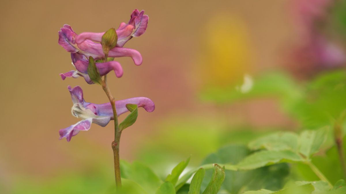 Wanderung im Breiten Hagen von Kerstin Prutti