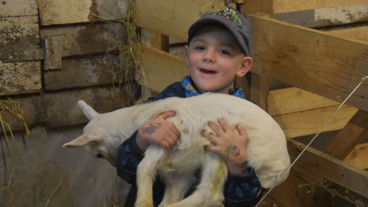Der vierjährige Max liebt es, mit den Ziegenlämmern zu spielen. von Nicole Voss