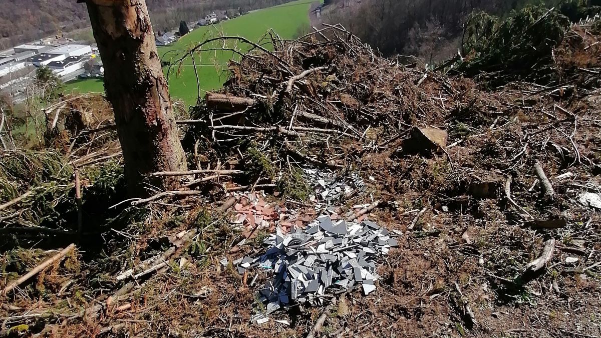 Illegale Müllentsorgung in Maumke. von privat