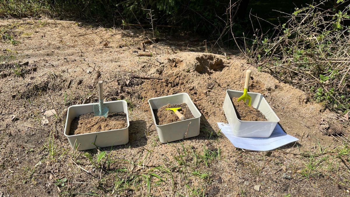 Im Wald warten jede Menge Rätsel auf die Teilnehmer. von privat