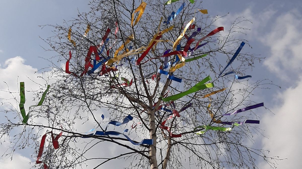 Symbolfoto Maibaum von privat