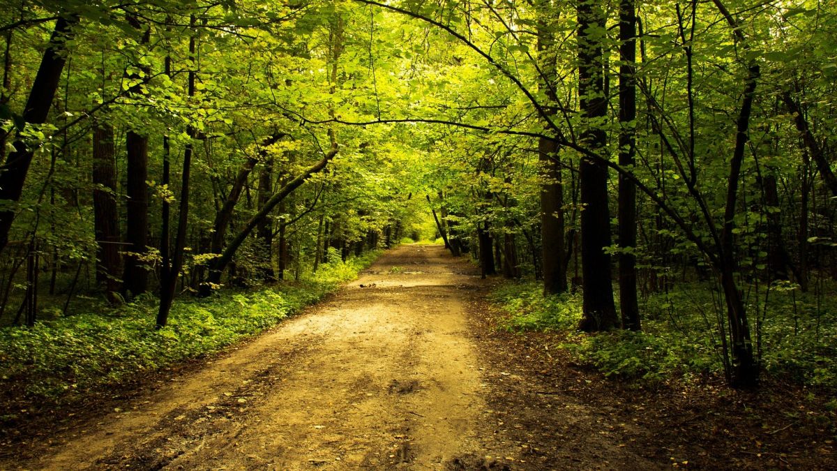 Symbolfoto. von pixabay.com