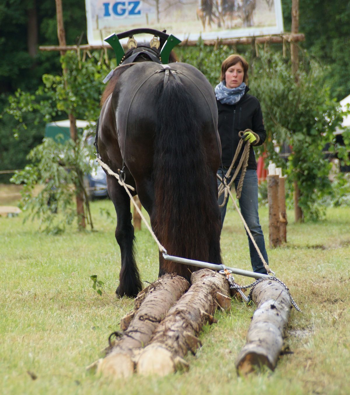Beim Holzrücken sind Geschick, Schnelligkeit und Kraft gefragt. von privat