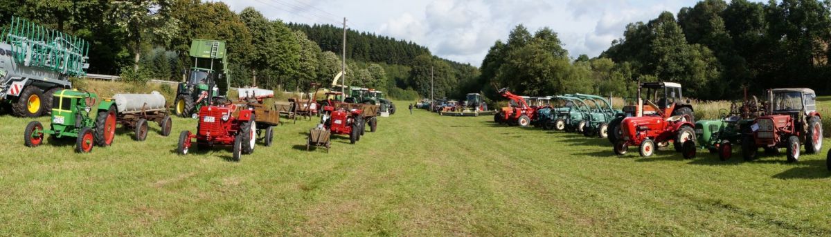 Viele Traktoren sind bei den Hoftagen zu sehen. von privat