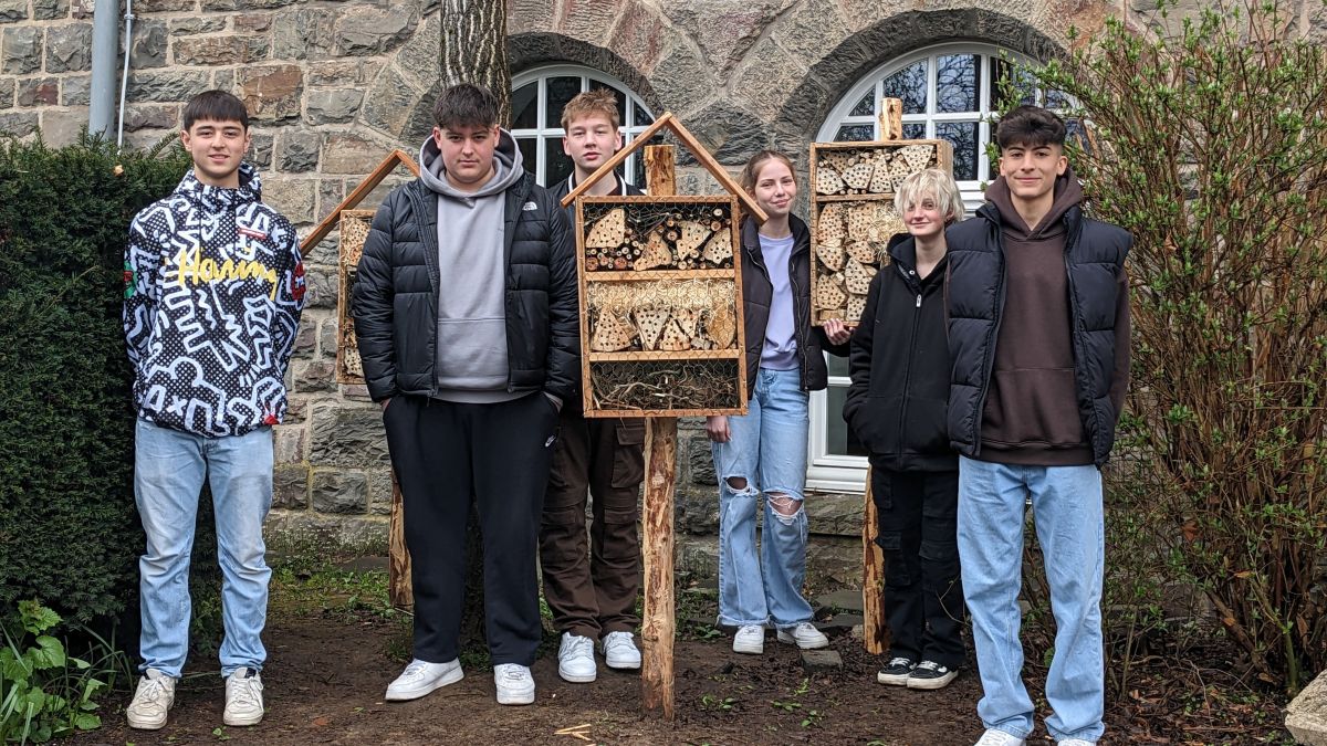 Der MINT-Kurs der Jahrgangsstufe 9 bietet Insekten nun ein Zuhause. von privat