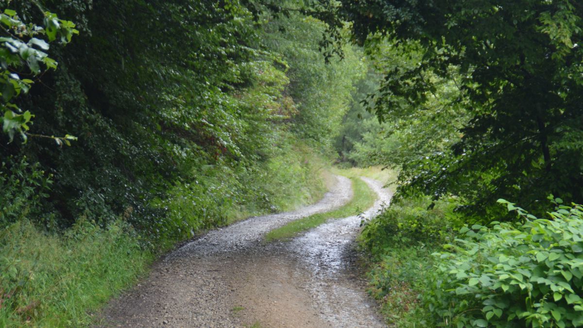 In einigen Kommunen, so auch in Attendorn werden die Wirtschaftswege auf den Prüfstand gestellt. von Nicole Voss